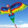 Kite 3D Parrot Kite Easy to Fly Beginner Kites for
