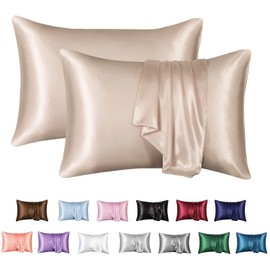 MR&HM Satin Pillowcase for Hair and Skin, Silk Satin Pillowcase 2 Pack, Queen Size Pillow Cases Set of 2, Silky Pillow Cover with Envelope Closure (20x30, Champagne)