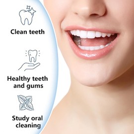 IDYOUS Dental Floss Stick Set with Dispenser, Refillable Floss Pick, 110 Mint Flavoured Double String Floss Sticks, Toothpick Adult Floss Stick (White)