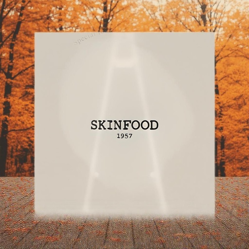 skin food 1 Skinfood brush pad case / 스킨푸드 브러쉬