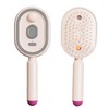 Rechargeable Water Spray Hair Brush for Women – USB-C Detangling