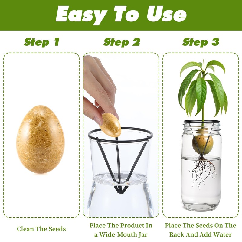 Tyqour 3 Pcs Avocado Tree Growing Kits - Avocado Seed