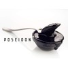 Poseidon Cuttlefish Squid Ink, Tinta Calamar, Nero di seppia, 20/0.7