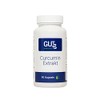 Curcumin Extract Capsules High Dose - 999 mg per Day