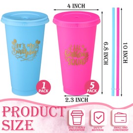 Jingmore Birthday Party Tumblers 24 oz Squad Plastic Tumblers with Lid and Straw for 20th 30th 40th 50th 60th Birthday Decorations Favor for Women Adults(Blue, Rose Red,6 Pcs)