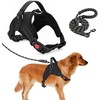 Arnés para Perro Ajustable con Correa de 1.5m Incluida, Negro,