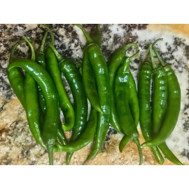 Sunshine Seeds Hot Finger Chile Pepper Seeds (20) / ORGANIC / FLORIDA GROWN / EXTREMELY RARE
