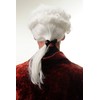 Wig Me Up – DH1126 P60 White Curly Baroque Lord