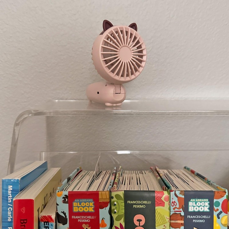 allydrew Mini Portable Handheld and Desktop Rechargeable USB Fan, Pink