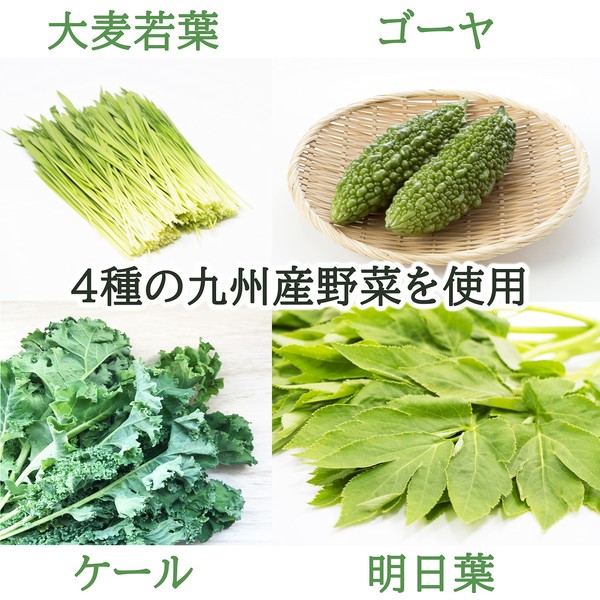 New days of Kyushu vegetables in Blue Juice Powder Type