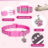 Aribliseza Cat Collar, Set of 4 Reflective, Safety Closure, Bell/Paw
