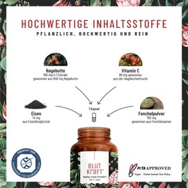 Iron Complex with Vitamin C and Fennel Vegan - 120 Capsules - Vegan Iron Tablets in Capsule Shape, Easier to Swallow - No Additives, Laboratory Tested