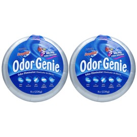 Damp Rid FG69H 8 Oz Wild Berry Odor GenieTM