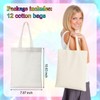 SilTriangle Tie Dye Kit Includes 12 Blank Tote Bags, 12