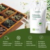 InmuneTea Organic 100g (50 Cups) | Herbal Loose Leaf Tea