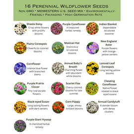 Midwest US Bulk Wildflower Seed Mix 1lb Covers 2,000sq-ft - Attract Pollinators, Multi-Color Blooms - Midwestern US Species Plant in Spring/Fall, Earth-Friendly Packaging (1/2 Pound)
