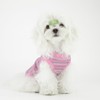 Elevate Your Pet's Comfort and Fashion: Premium 100% Cotton Rib
