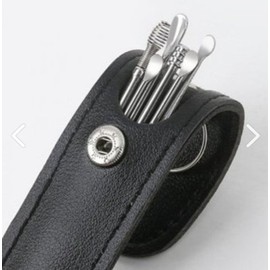 Portable earpick, earplug, ear cleaning, earwax 6-piece set, earpick 6-piece set (black) 17ea