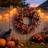 Boxwood Halloween Wreaths ，20 Inch Black Purple Orange with Bats