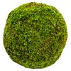 SuperMoss (21663) Moss Ball, Fresh Green, 8"