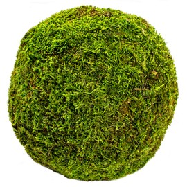 SuperMoss (21663) Moss Ball, Fresh Green, 8"