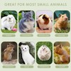 ERKOON Chinchilla Treats, Chew Toys for Teeth for Rabbit Guinea