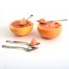 Norpro Stainless Steel Grapefruit Spoons, Set of 4