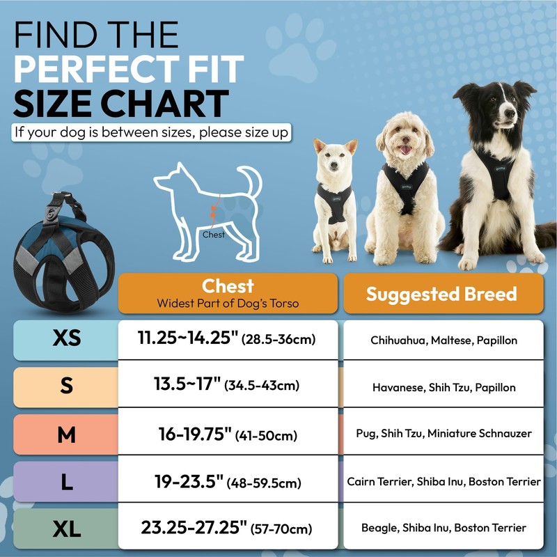 Gooby Soft Mesh X Step in Dog Harness - Blue,