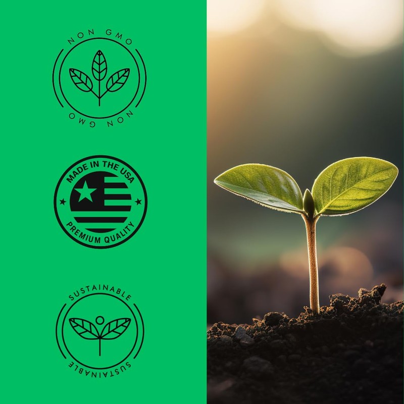 Hollyhock Giant Danish Mix Seeds, 50 Count, Multi-Color Biennial Flowers,