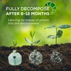 ANECO 100% Compostable Food Waste Bags 13 Gallon, 35 Count,