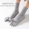 Lifemaster Men's Five Toe Socks, Five Toe Socks, Crew Socks,