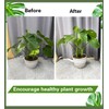 2PCS 6" Plant Stem Support,Stabilizer Grapple Holder for Monstera and