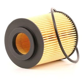 TJ Filters QFL0042 Oil Filter