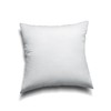 EDOW Throw Pillow Inserts, Set of 2 Lightweight Down Alternative