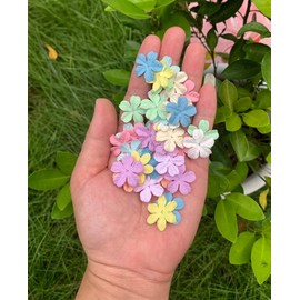 100 Pcs Patch Frangipani Flowers 25x25mm Mulberry Paper Flowers Scrapbooking Wedding DIY Craft Supplies Card. (Pastel Colors)