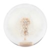 2.8in Shift Knob Crystal Real Dandelions Flowers Universal Accessory with