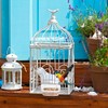 2 comederos de plástico para Loros, Transparentes para Colgar, para