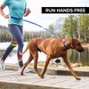Stunt Puppy SR-ORG Stunt Runner Hands-Free Dog Leash, Orange