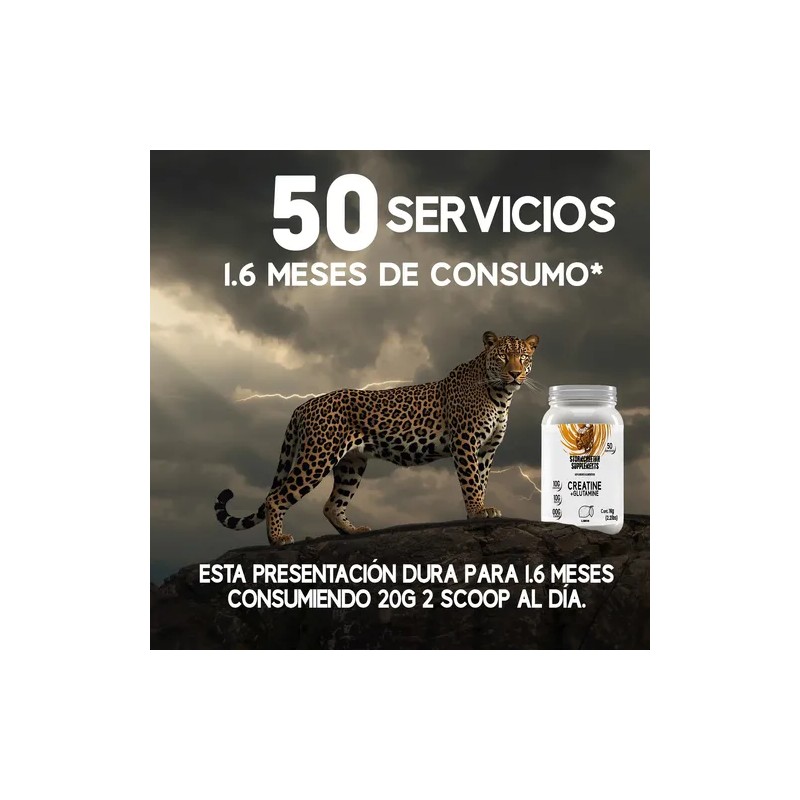 Suplemento Creatina Glutamina Polvo Stormcheetah 1kg 50ser