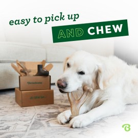 Benebone Medium 4-Pack Dog Toys for Aggressive Chewers – Durable Dog Bones, Made in USA – Dog Toys for Medium Dogs Under 60 lbs