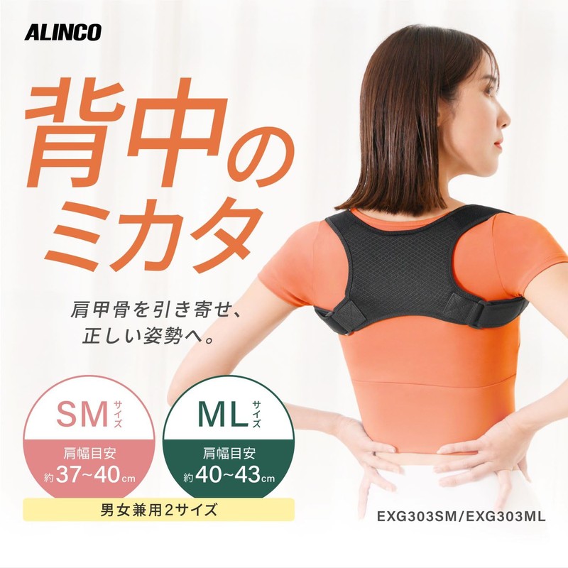 Alinco EXG303ML Posture Supporter, Posture Belt, Hunched Belt, ML Size,