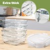 Small Glass Containers with Lids Square, 3 Cup Borosilicate Glass