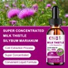 Alliwise 2 Bottles Milk Thistle Liquid Drop,Dandelion Root,Liver Cleanse Immune