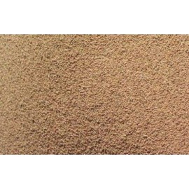 Sand Blasting Walnut Shell Tumbler Cabinet Polisher Grit Very FINE 02-05mm 60/120 mesh 500g