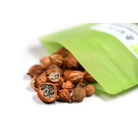 USTCM High Quality Fructus Amomi Xiang Sha Ren 優質香砂仁