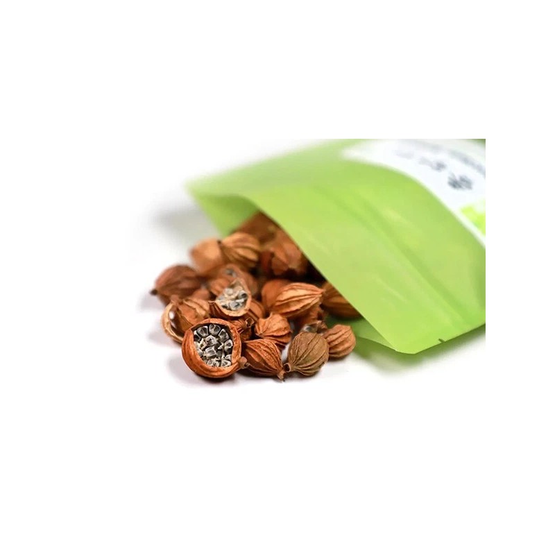 USTCM High Quality Fructus Amomi Xiang Sha Ren 優質香砂仁