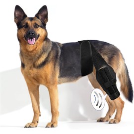 Spring.Rd Dog Pet Knee Brace For Support With Cruciate Ligament Injury, Joint Pain And Muscle Sore, Better Recovery With Dog ACL Knee Brace, Adjustable Rear Leg Braces For Dogs Knee Brace