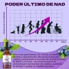 Nad+ Gotas Nr Nicotinamida Ribosa Antioxidante Mujer Hombre