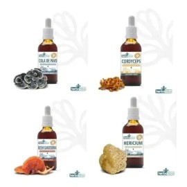 Kit 4 Extractos - Hericium, Reishi, Cordyceps Y Turkey Tail                                                                                           