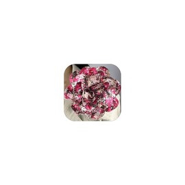 19mm Extra Large Leopard Flower Brooches Lapel Pins Dainty Satin Fabric Brooches Big Camellia Flower Brooch Pin for Women Wedding Part Dance Clothes Accessories Jewelry (2#Red)